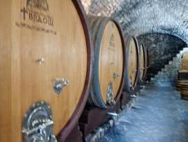 Monaster Tvrdoš